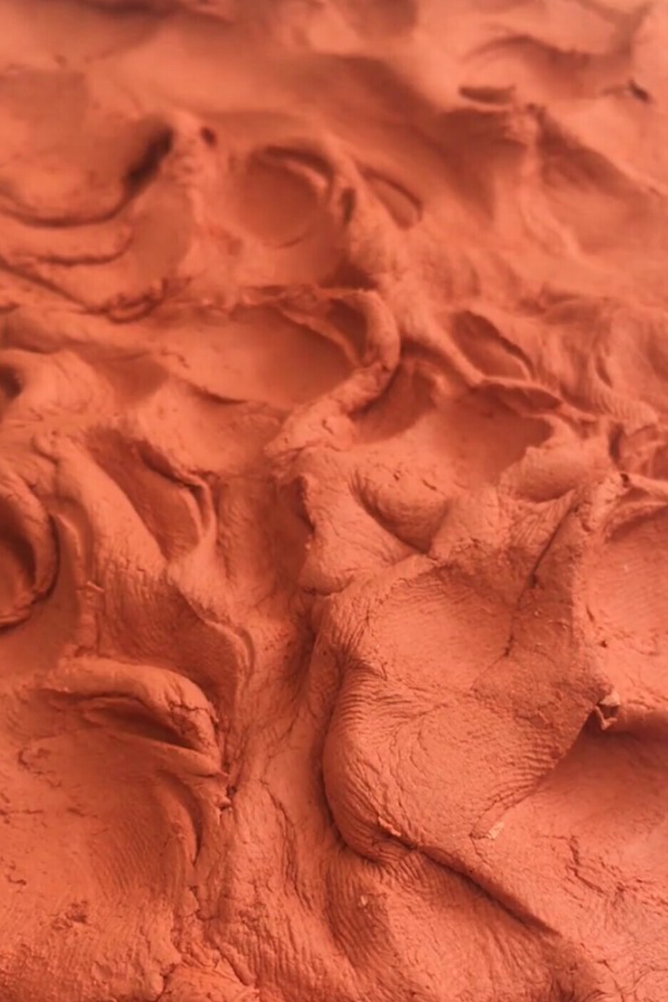 ©Miriam Schröder DISSOLVING THROUGH MUDWATER 2018 © Miriam Schröder