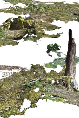 ©Miriam Schröder TRACING RENDER GHOSTS 2021 © Miriam Schröder